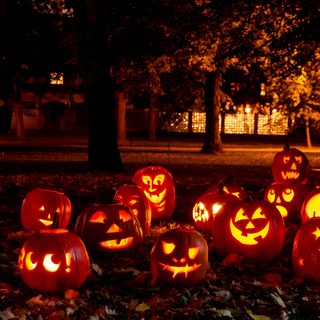 a group of carved pumpkins sitting on the ground in front of trees at night Halloweentown Pumpkin Jackolantern Jamboree, Halloween Jack-o'-lanterns Glowing, Carved Jack-o'-lanterns Outdoors, black