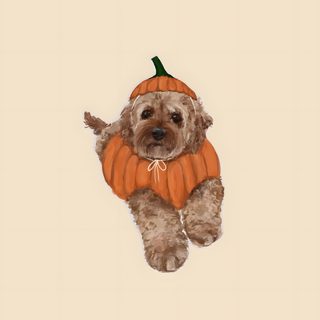 a dog with a pumpkin on its back Dog Halloween Aesthetic Cute Backgrounds Fall Aesthetic, Cute Halloween Backgrounds Aesthetic, Cute Dog Thanksgiving, bisque