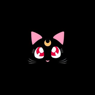 a black cat with red eyes and a pink bow on it's head in the dark Sailor Moon Halloween Sailor Moon Cat, Luna Sailor Moon, Sailor Moon Luna Aesthetic, Black Sailor Moon,