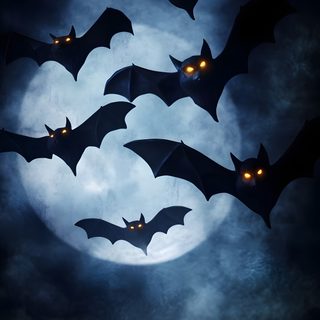 bats flying in the sky with glowing eyes Halloween Flying Monster Scary Bats Design, Halloween Pumpkin Stencils, Bat Flying Over Water At Night, dark slate gray