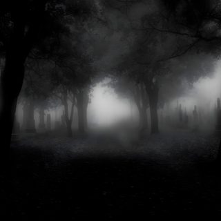 black and white photo of foggy graveyard with trees in the foreground at night Black Halloween 4k Dark Gothic Aesthetic Computer, Gothic Forest Background Aesthetic, Dark Foggy Cemetery Atmosphere,