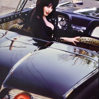 a woman sitting in the drivers seat of a black car with leopard print on it Elvira Halloween Elvira Movies, Cassandra Peterson, Elvira Mistress Of The Dark, Bettie Page, dim gray