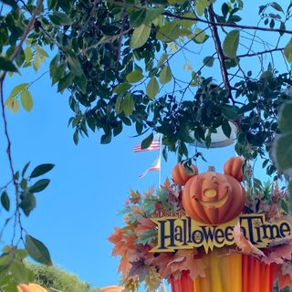 the entrance to halloween time at disneyland world Disneyland Halloween Aesthetic Disneyland Fall Aesthetic, Disneyland Halloween, Disneyland Fall, dim gray