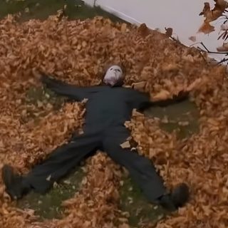 a man laying on the ground covered in leaves Funny Halloween Computer Autumn Reaction Pics, Pfp Michael Myers, Michael Myers Meme, saddle brown
