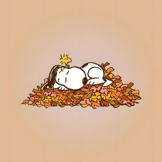 a person laying on top of a pile of leaves with a star above their head Snoopy Halloween Computer Snoopy Halloween Computer, Thanksgiving Laptop Background, Snoopy Google, burlywood
