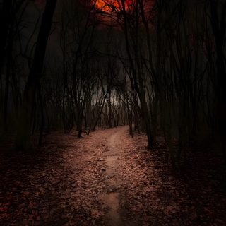 a path in the woods at night with red light coming from behind trees and leaves on the ground Halloween Road Dark Forest Mountain, Forest Night Moon, Scenery Video Aesthetic, black