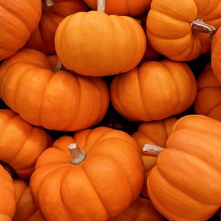 a pile of orange pumpkins sitting next to each other Halloween Orange Pumpkin Pumpkin Iphone, Pumpkin Texture, Pumpkin With Orange Background, chocolate