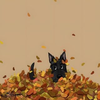 a black dog laying on top of a pile of leaves Halloween Scottish Terrier Scottie Terrier, Westie Puppies, Cairn Terrier, Dog, Dog Illustration, tan