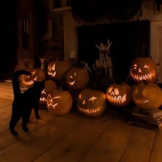 a black cat standing in front of carved pumpkins Halloween Aesthetic Widget Aesthetic Halloween Aesthetic, Aesthetic Halloween Aesthetic Pinterest, Pinterest Halloween Aesthetic Pictures Pinterest, black
