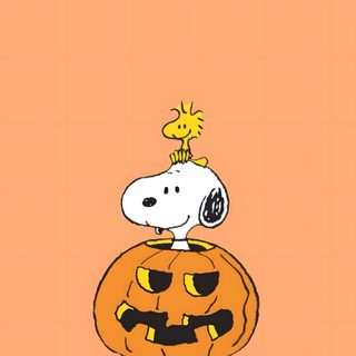 snoop on top of a pumpkin with a bird sitting on it's head and the words happy halloween written below Woodstock Halloween Charlie Brown Woodstock And Snoopy, Snoopy With A Pumpkin, Snoopy Fall Pictures, light salmon