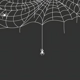 an image of a spider web hanging from the ceiling Halloween Web Black Web Aesthetic, Halloween Tablet, Alt Aesthetic Laptop, dark slate gray