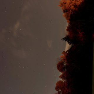 the sky is very dark and there are stars in the sky above trees that have red leaves on them Halloween Sky Iphone Autumn Mac, Autumn Aesthetic Laptop, Mac Autumn, dark slate gray