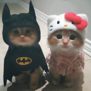 two kittens dressed up as batman and hello kitty are standing next to each other Matching Halloween Kitty Couple, Batman And Hello Kitty Matching, Matching Pfp Hello Kitty And Batman, dim gray
