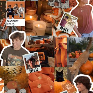 a collage of photos with pumpkins and other things Sturniolo Halloween Matt Sturniolo Fall, Fall Sturniolo Triplets, Brittle Bones Nicky, Fall Sturniolo, sienna
