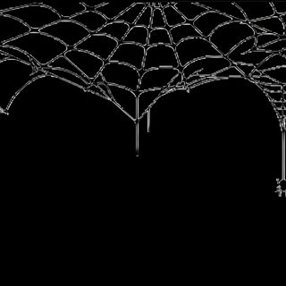 an image of a spider web on a black background Halloween Web Black Diy Halloween Party Decorations, Black And White Spider Web, Halloween Spider Web Decor,