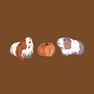 three guinea pigs sitting next to each other in front of a brown background with an orange pumpkin Halloween Guinea Pig Guinea Pig With Crown, Guinea Pigs, Guinea Pig Aesthetic, Guinea Pig Hd, saddle brown