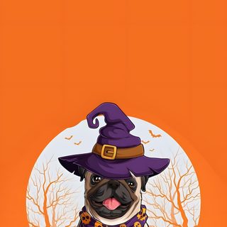 a pug dog wearing a witches hat and sitting next to two pumpkins on an orange background Halloween Pug Iphone Movie Posters, Fabric, Film Posters, chocolate