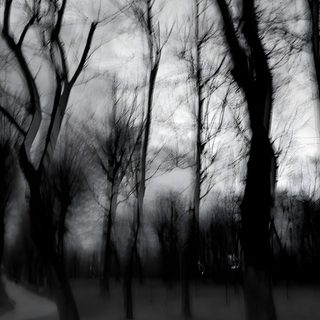 black and white photograph of trees in the park at dusk with no leaves on them Halloween Not Blurry Horror Background Aesthetic, Dark Goth, Dark Trees Aesthetic, dark slate gray