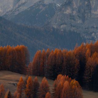 the mountains are covered in snow and orange trees Halloween Mountain dark slate gray