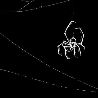 a spider hanging from a web in the middle of a black background with white lines Spider Halloween black