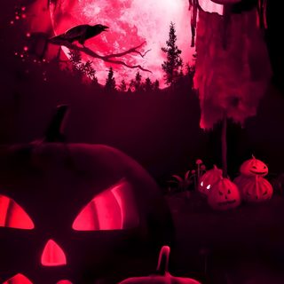 two carved pumpkins in front of a full moon Halloween Gift Free Live Halloween, Halloween Live, Halloween Live Photo, Halloween Live Iphone, black