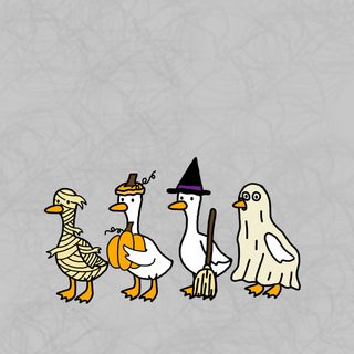 three ducks dressed up in halloween costumes, one wearing a witch's hat and the other holding a broom Halloween Ducks Halloween Duck Pfp, Cute Halloween Duck, Funny Fall, Fall Duck, Silly Goose, silver