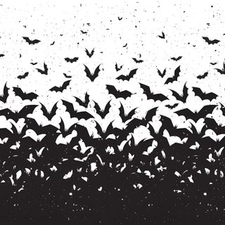 a flock of bats flying in the sky Halloween Cute Bats Silhouette Free Halloween Costumes, Halloween Pin Up, Halloween Borders, gainsboro