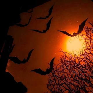 bats flying in front of the sun at night Halloween Aesthetic Widget maroon