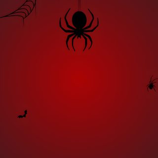 a spider hanging from a web in front of a red sky with bats flying around Spider Halloween maroon