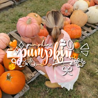🎃🧡🦊 Cute Halloween, Halloween Pumpkins, Halloween Pumpkin Preppy Halloween Cute Halloween, Halloween Pumpkins, Halloween, gray