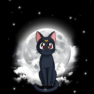 a black cat sitting in front of a full moon Sailor Moon Halloween Sailor Moon Stars, Illustration Japonaise, Sailor Moon Aesthetic, black