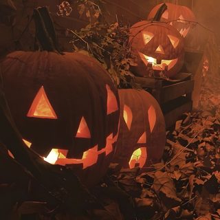 #halloween25 #halloween #october #autumn #fall #aesthetic Halloween Wallpaper Cute, Season Of The Witch, Fall Halloween Decor, Autumn Scenery, Fall Pictures, Samhain, Halloween Pictures, Halloween Town, Autumn Aesthetic Halloween Widget Ideas Halloween Cute, Season Of The Witch, Fall Halloween Decor, Autumn Scenery, maroon