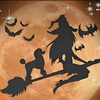 a full moon is in the background with silhouettes of witches and bats on it Halloween Poodle Toy Poodle Halloween Costumes, Poodle In Autumn Leaves, Poodle Skeleton, peru