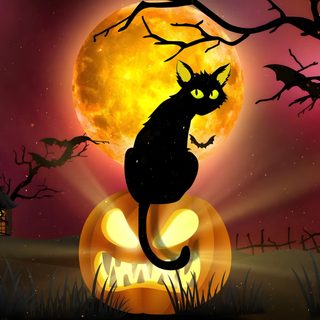 a black cat sitting on top of a pumpkin in front of a full moon with bats Halloween Laptop Gif Halloween Screensavers For Pc, Halloween Night Desktop, Scary Halloween For Desktop, maroon