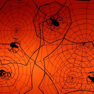several spider webs are shown in front of an orange background with black bugs on them Halloween Spiders At University Of Texas Halloween Spiders At University Of Texas, Ant Farm Halloween, Orange Spider Web Decoration, firebrick