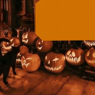 a black cat standing in front of pumpkins with faces carved on them and an orange rectangle Halloween Apple Watch Face Apple Watch Backgrounds Cute, Halloween Apple Watch, Apple Watch Backgrounds, saddle brown