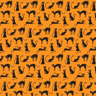 an orange background with black cats and kittens on the same wallpaper, all in different sizes Halloween Cat Stripes Halloween Cat Pattern, Happy Halloween Cat Pattern, Halloween Black Cat Orange Background,