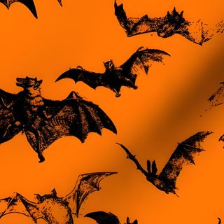 an orange and black background with bats Vintage Bats For Halloween Fabric And Vintage Bat Fabric, Orange And Black Bat, Orange And Brown Bat Pattern, chocolate