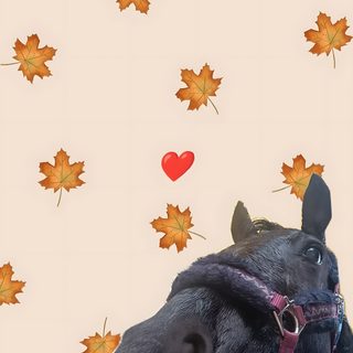 Cute Halloween Horse antique white