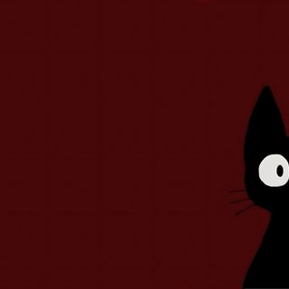 a black cat sitting in the middle of a dark room with red walls and flooring Dark Red Halloween For Laptop Red, Dark For Tablet, Ipad Cats, Destop Wallper Aesthetic Laptop Hd, maroon