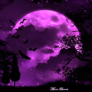 a full moon with bats flying in the night sky over trees and grass, against a purple background Halloween Bat Moon Purple Large Purple Moon Halloween Art, Purple Moon With Bats, Moon Purple Anime Night Sky, black