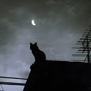 a black and white photo of a cat sitting on top of a roof with the moon in the background Desktop Black Cat Halloween Goth Cat, Black With Cat, Black Widgets Aesthetic Medium, dark slate gray