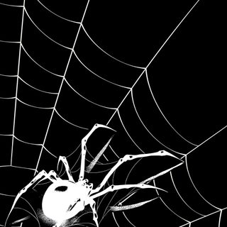 Grafite De Rua, Gothic Wallpaper, Dark Wallpaper Iphone, Superhero Wallpaper, Flower Background Wallpaper, Graphic Tshirt Design, Dark Art Illustrations, Cool Anime Pictures, Draw On Photos Spider Halloween Grafite De Rua, Gothic, Dark Iphone, Superhero, Flower Background, black