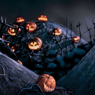 a group of pumpkins sitting on top of a tree Halloween Town Gate Nightmare Before Christmas Horizontal, Nightmare Before Christmas Cover Photo, Nightmare Before Christmas Landscape, black