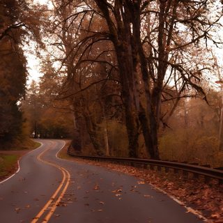 an empty road surrounded by trees and fallen leaves in the fall with a speed limit sign Halloween Road Fall Pc Aesthetic, Cozy Autumn Aesthetic Pc, Autumn Vibes Pc, saddle brown