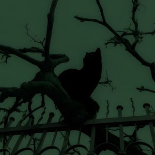 a black cat sitting on top of a wooden fence next to a tree with no leaves Halloween Black Cat Green Gothic Cat, Black Cat With Old Books, Gothic Black Cat Reading Book, dark slate gray