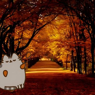 an image of a cartoon character in the middle of trees with fall leaves on them Desktop Pusheen Halloween Pusheen, maroon