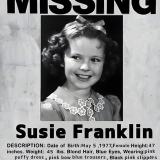 the missing poster for susan franklin Missing Halloween Poster Susie Fnaf Real Life, Missing Children Fnaf Sprite, Fnaf Missing Children Newspaper, silver
