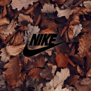 the nike logo is surrounded by leaves and other autumn foliage in this artistic photo taken on november 11, 2012 Nike Halloween Iphone Festival, Nike, Best Nike For Iphone, Pixar, The Borrowers, Pixel Art, dark olive green