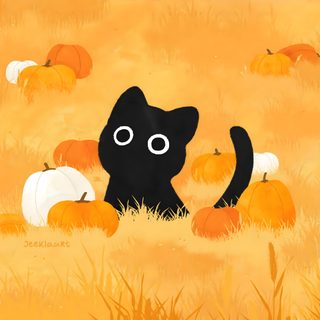jeeklaart Pumpkin Cat Wallpaper, Fall Cats, Desktop Wallpaper Fall, Halloween Wallpaper Cute, Cute Fall Cat Cartoon, Studio Ghibli Orange Cat, Black Cats And Pumpkins Print, Cute Pumpkin Cat Wallpaper, Kawaii Fall Cat Desktop Black Cat Halloween Pumpkin Cat, Fall Cats, Desktop Fall, Halloween Cute, sandy brown
